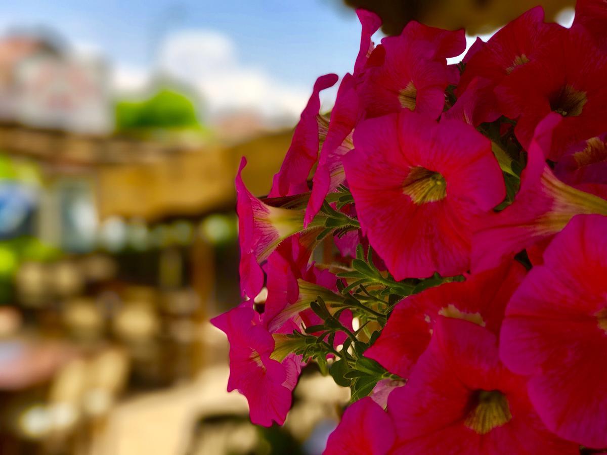 Nehir Apart Hotel Fethiye Luaran gambar