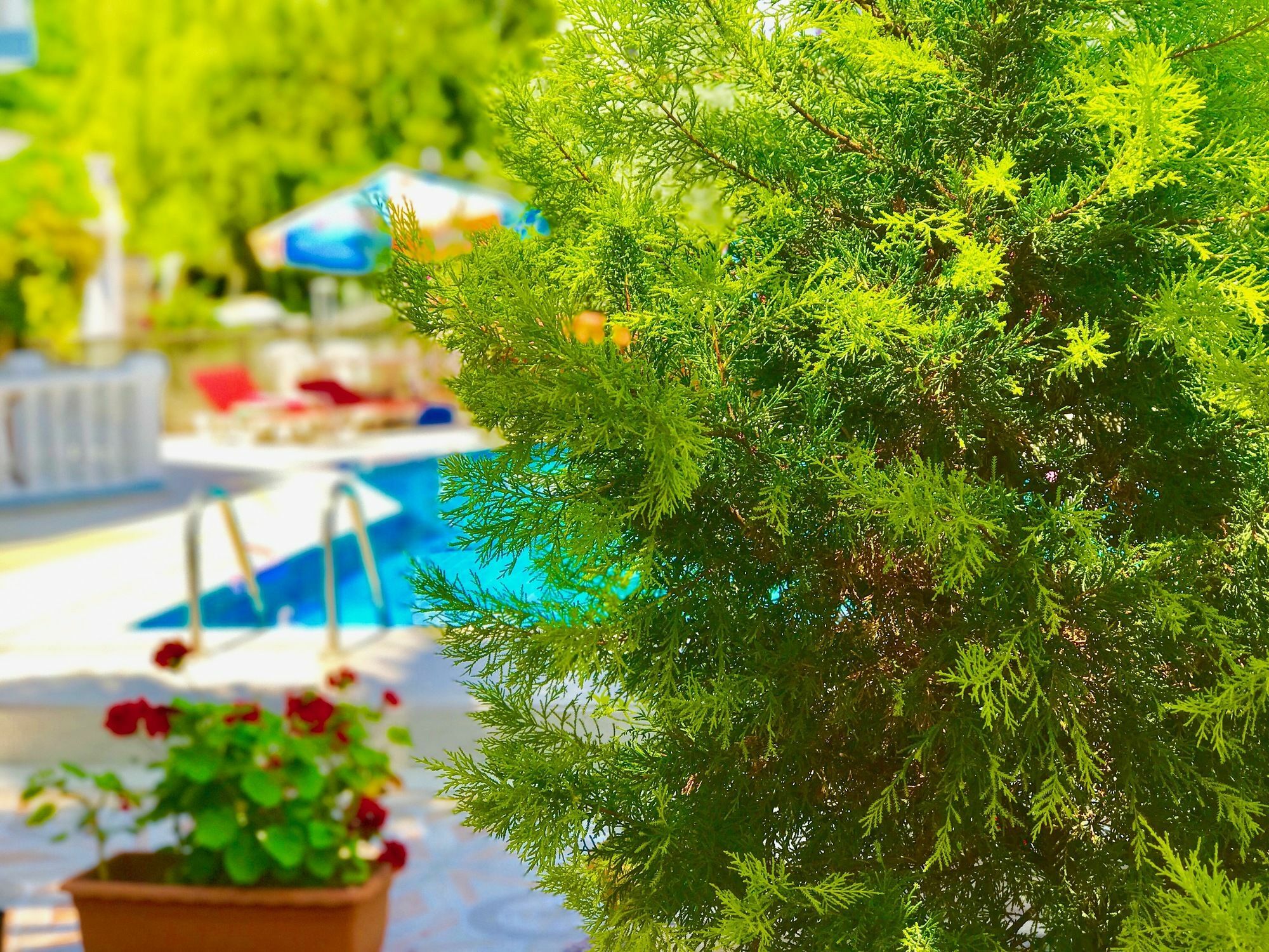 Nehir Apart Hotel Fethiye Luaran gambar